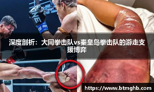 深度剖析：大同拳击队vs秦皇岛拳击队的游走支援博弈